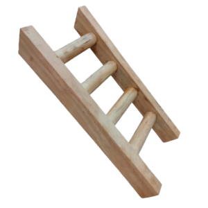 Ladder 30