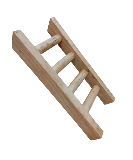 Ladder 30
