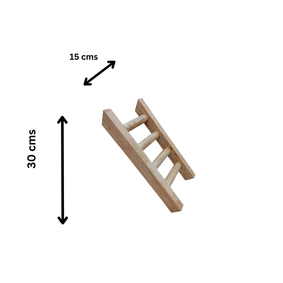Ladder 30 - Image 2