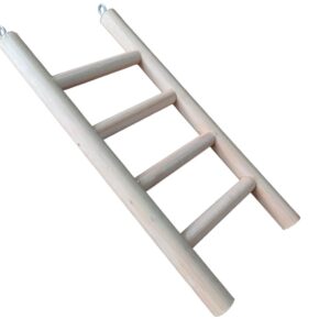 Simple Ladder