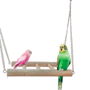 Ladder with Chain
