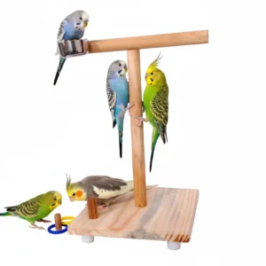 Training T-Stand with feeder cup